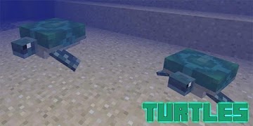 Turtles Mod for MCPE スクリーンショット 1