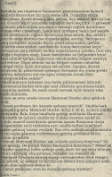 Ali ve Nino screenshot 3
