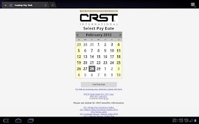 CRST Pay imagem de tela 5