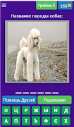 Угадай породу собак??? ภาพหน้าจอ 3