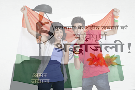 Support Indian Army - Pulwama Attack 截圖 3