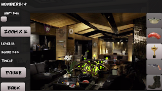 House. Hidden objects screenshot 7