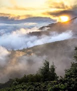 QUWAT E PARWAZ by Seema Shahid स्क्रीनशॉट 1