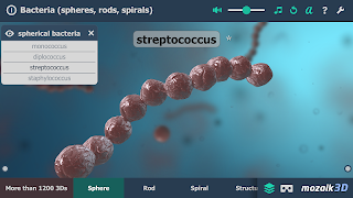 Bactérias 3D educacional interativo RV imagem de tela 1
