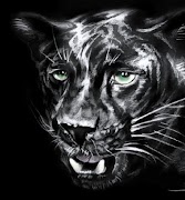 アニマル描画チュートリアル スクリーンショット 5