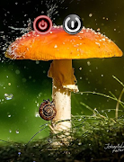 Screen Off ảnh chụp màn hình 4