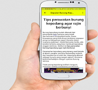 Suara Burung Kepodang Emas Mp3 ポスター