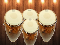 Conga Virtual 截图 1