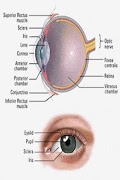 Ophthalmology screenshot 1