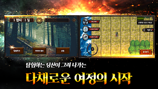 질서와 혼돈 포스터