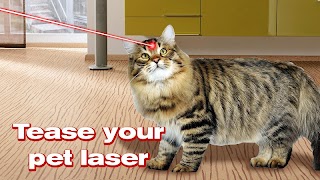 Laser Kitten Simulator Pro पोस्टर