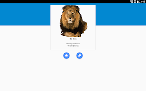 4 Schermata Cat detector