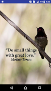 BTNGO imagem de tela 2