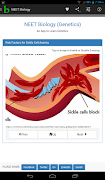 NEET Biology - Genetics screenshot 7