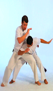 پوستر Capoeira
