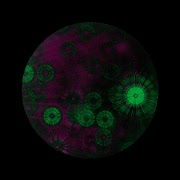 1 Schermata f19m: Test Application EB01