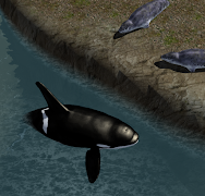 برنامه‌نما Orca Whale Simulator 3D عکس از صفحه