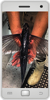 Flying Fish ภาพหน้าจอ 1