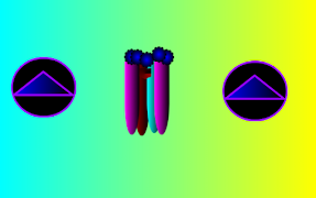 Coin Plane Cartaz