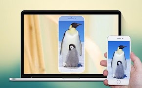 MiraCasting: Screen Mirroring döküm paylaşımı Ekran Görüntüsü 1