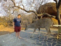 برنامه‌نما Dikhololo عکس از صفحه