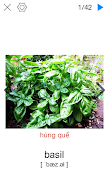 Picture Dictionary 截图 2