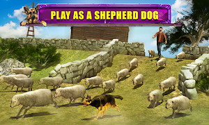Shepherd Dog Simulator 3D تصوير الشاشة 4