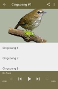 2 Schermata Masteran Burung Cingcoang