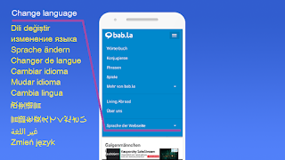 Bab.la 截图 6