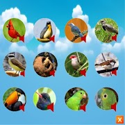 call Bird syot layar 5