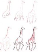 Learn to Draw Tutorial syot layar 2