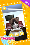Talking Cat Cute স্ক্রিনশট 1