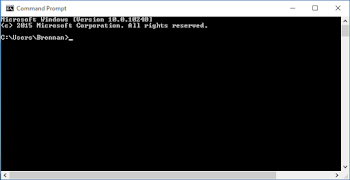 Windows Secret Command Prompt capture d'écran 1