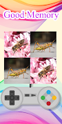 Insect Memory Game Screenshot 1