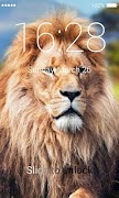 Pantalla de bloqueo Lions captura de pantalla 2