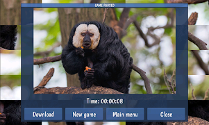 Tile Puzzles · Monkeys screenshot 1