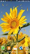 Sunflower Live Wallpaper اسکرین شاٹ 4