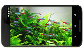 Pez ornamental captura de pantalla 5