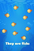 Goldfish Evolution Party poster