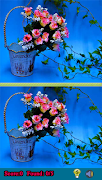 Guess The Difference Pictures screenshot 2