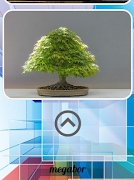 3 Schermata Bonsai Design