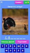 Птицы - Викторина poster
