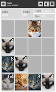 Faces 2048 ảnh chụp màn hình 2