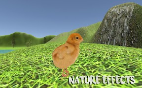 Chick Simulator スクリーンショット 3