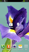 برنامه‌نما Cute Flashlight Widget عکس از صفحه