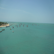 برنامه‌نما Photography عکس از صفحه