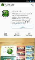 PLUR®V.I.P Club poster