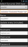 Dynamic DNS Update স্ক্রিনশট 1