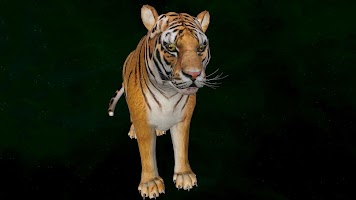 Tiger 3D syot layar 2