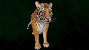 Tiger 3D اسکرین شاٹ 2